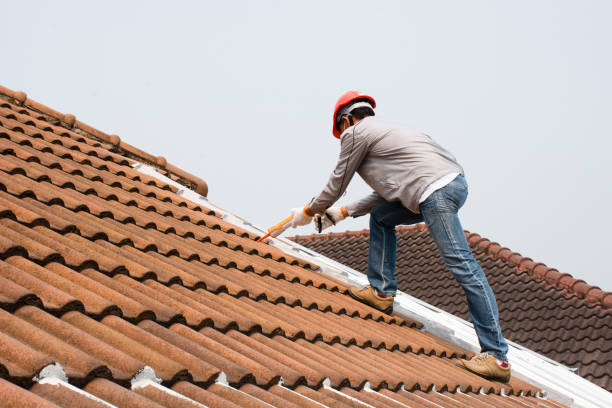 Best Roof Insulation Installation  in Glendale, AZ