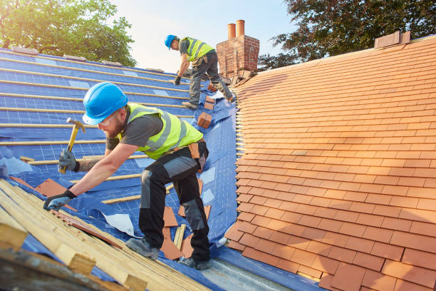 Best Sheet Metal Roofing  in Glendale, AZ